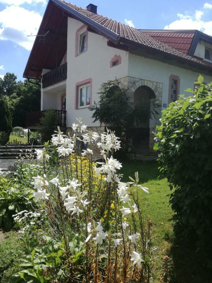 Apartamento Apartman Jasmin Čatrnja Exterior foto